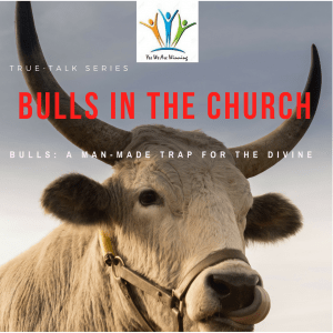 THE BULLS IN THE CHURCH