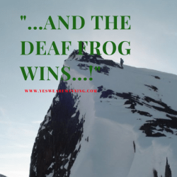 “…AND THE DEAF FROG WINS THE RACE…!”